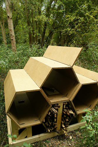 Richard Houguez ArcHive at The Field