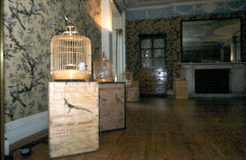 erika tan from china to chintz